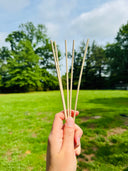 Diffuser Reeds